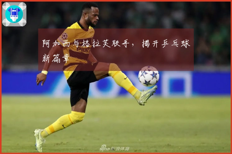 阿加西与格拉芙联手，揭开乒乓球新篇章